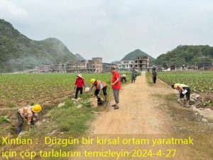 Xintian： Düzgün bir kırsal ortam yaratmak için çöp tarlalarını temizleyin